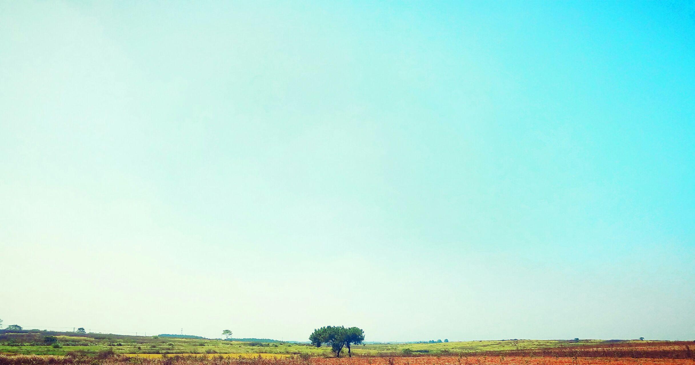 你手机里有什么好看的图片? - 夏冰雹的回答 - 