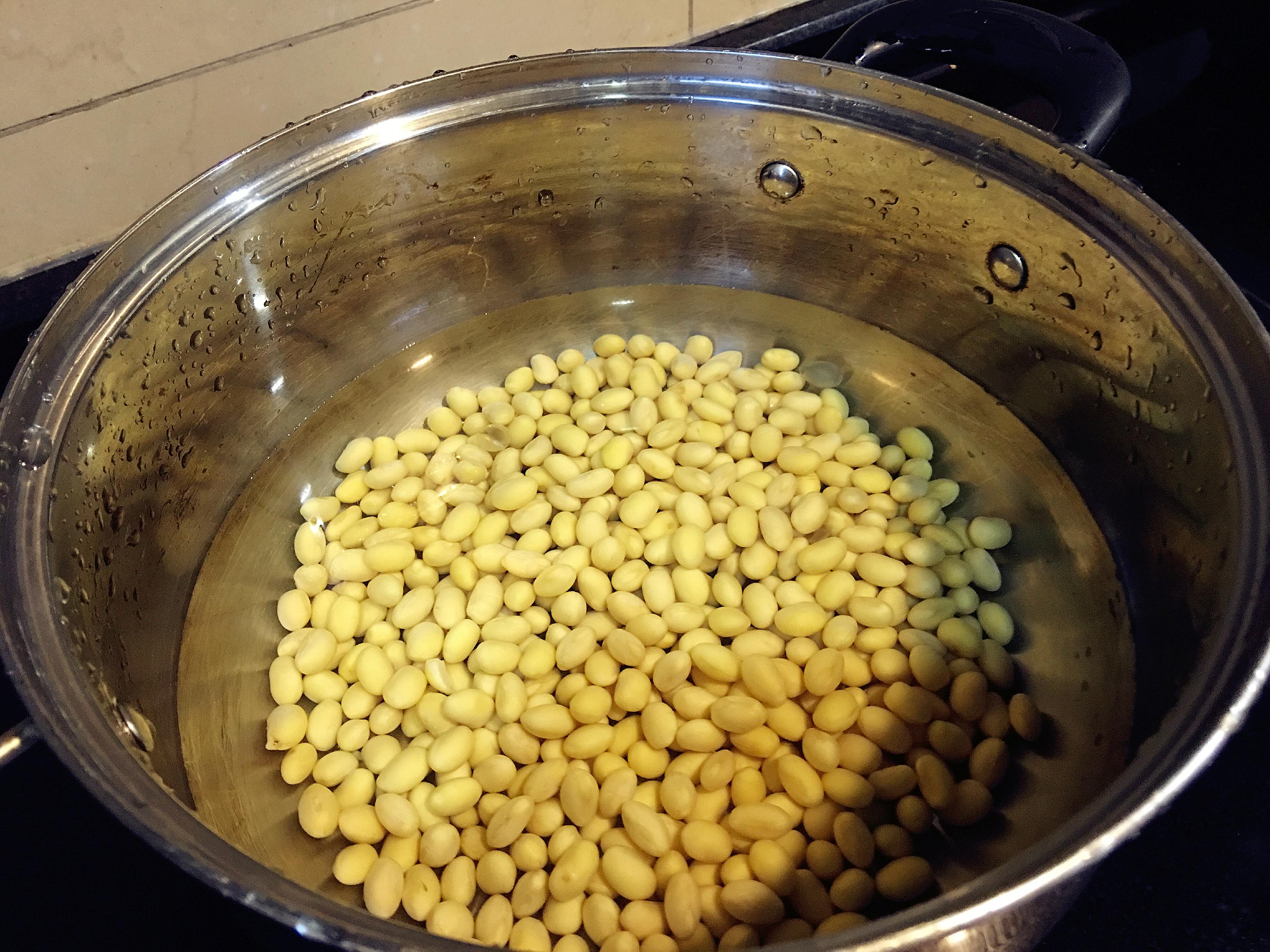黄豆最好泡三天再榨豆浆-榨豆浆的方法步骤_榨汁机