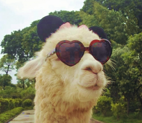 12306再祭奇招,手机双向核验,你怎么看? - 互