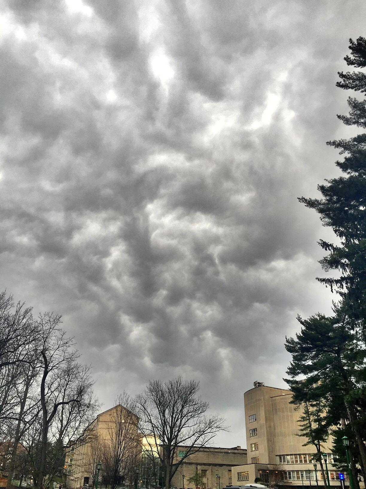 如何跟自己在美国的亲戚合作做好代购和健康食