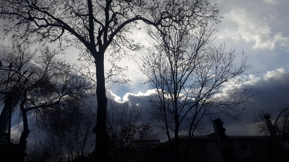 如何评价德拉蒙德·格林在 2015-2016 赛季总