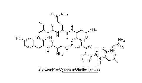 winid:013x 中文名称:催产素 英文名称:oxytocin 别名名称:n-苄氧羰基