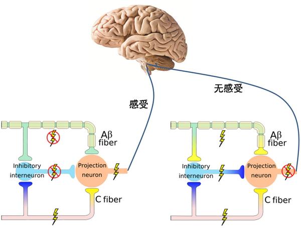 蚊子咬后的痒和别人抠脚板心的痒有什么区别?