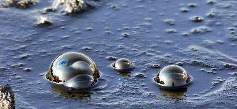 没有穆斯林的石油,美国能撑几天? - 知乎用户的