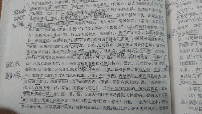 e65d29db24ea239dc697564a979f7b0a_r.jpg