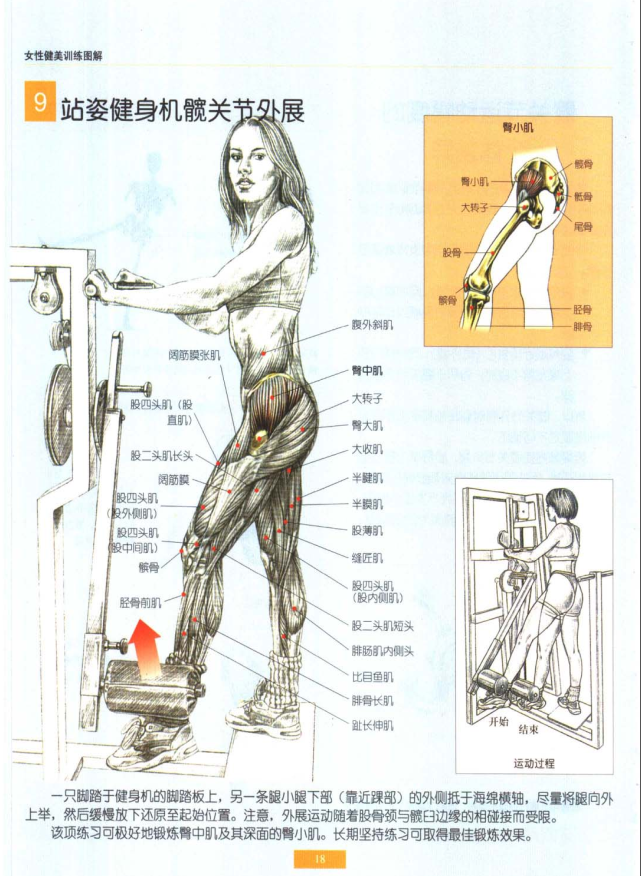 推荐适合刚开始健身的女性健身书籍?
