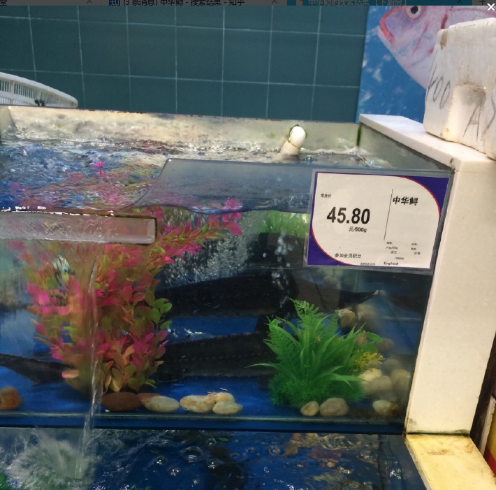 超市卖的中华鲟好吃吗,什么做法比较好?