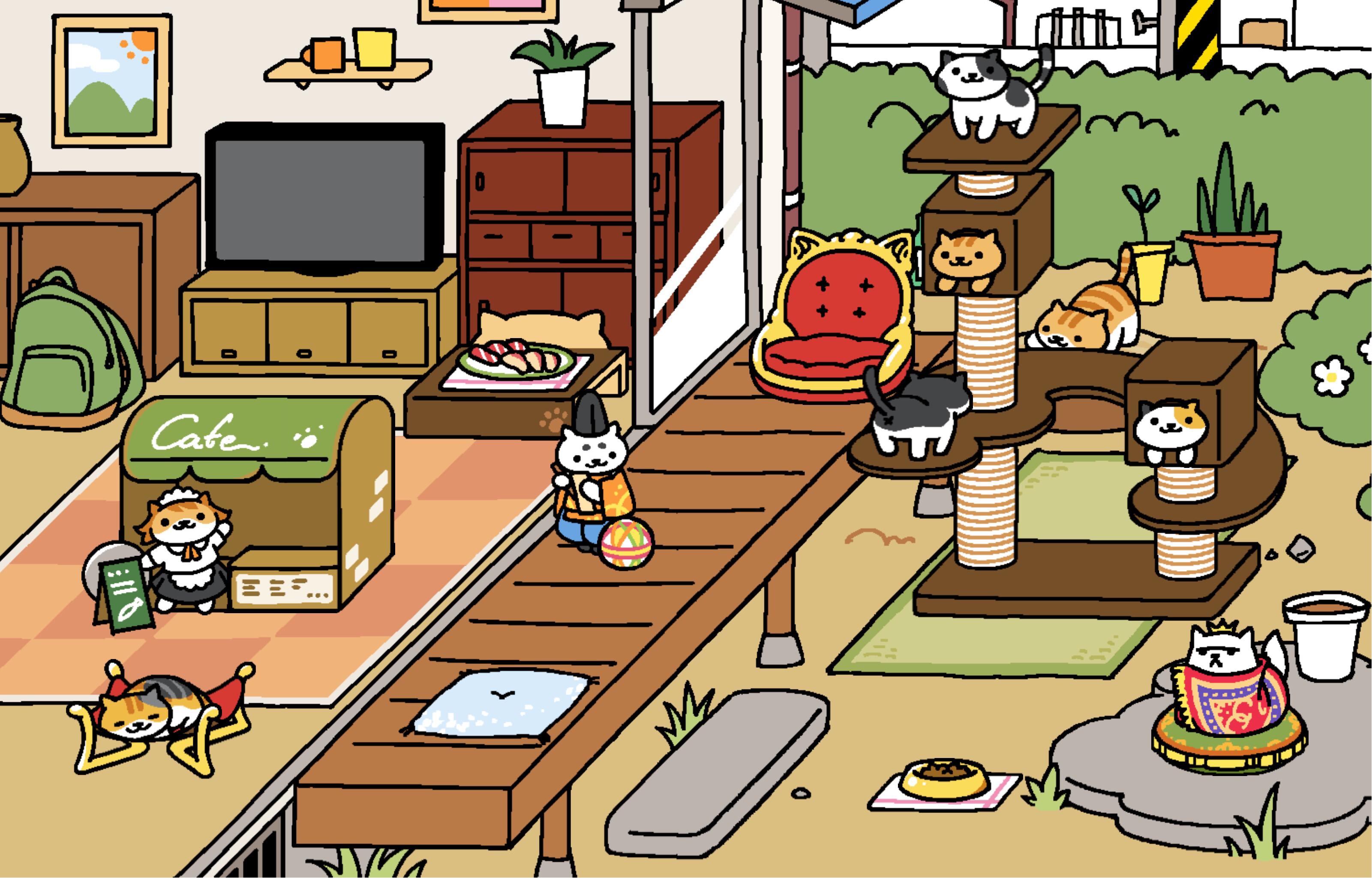 猫咪后院里有什么不易发现却感人的小细节