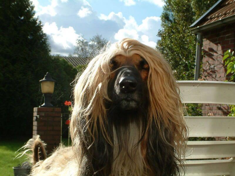 请问这个英文句子怎么翻译