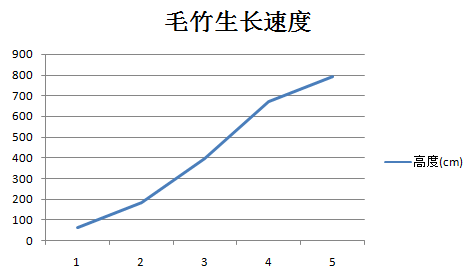 毛竹的生长速度图片