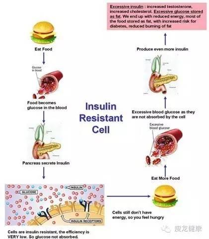 想减肥 你知道胰岛素抵抗吗 知乎