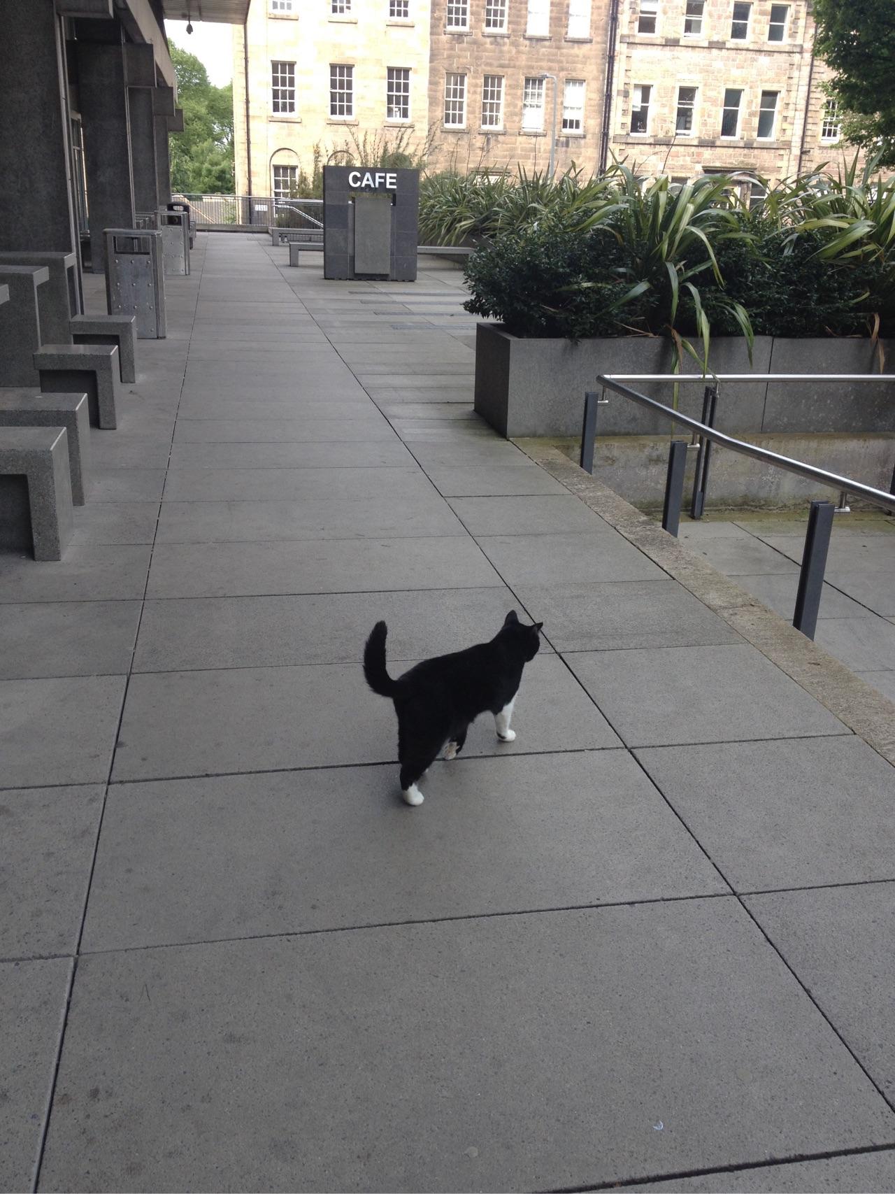 在爱丁堡大学读社会学或国际关系专业是一种什