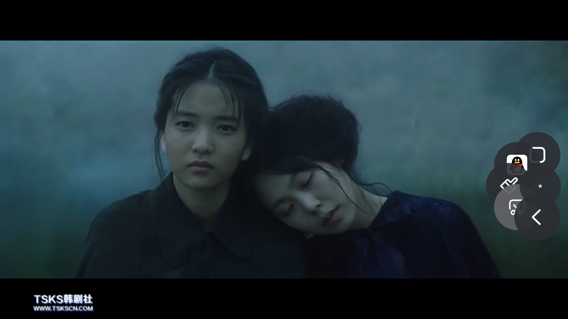 韩国电影小姐影评