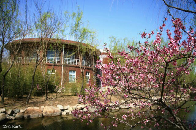 在潍坊一中就读是种怎样的体验