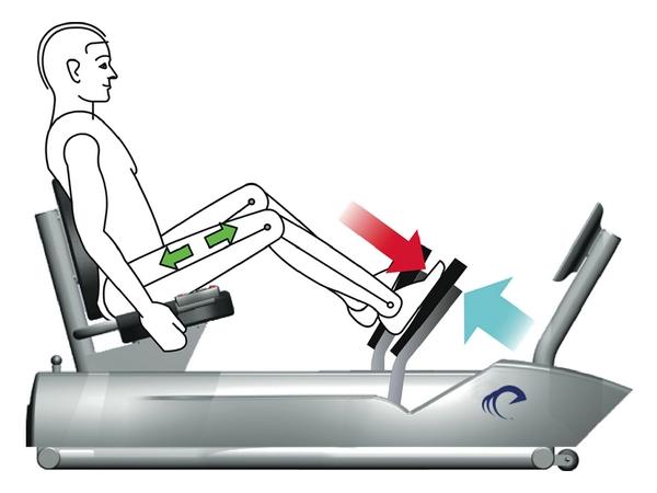 训练的主要练习方式有四种,分别是静力性练习,一般力量性练习,离心性