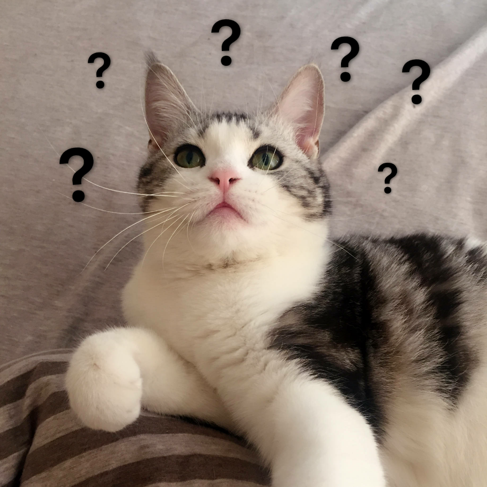 怎么看女朋友跟别的男生聊天,频率较高,涉及到