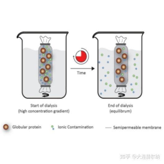 Scienova透析管在透析方法中效率显著 - 知乎