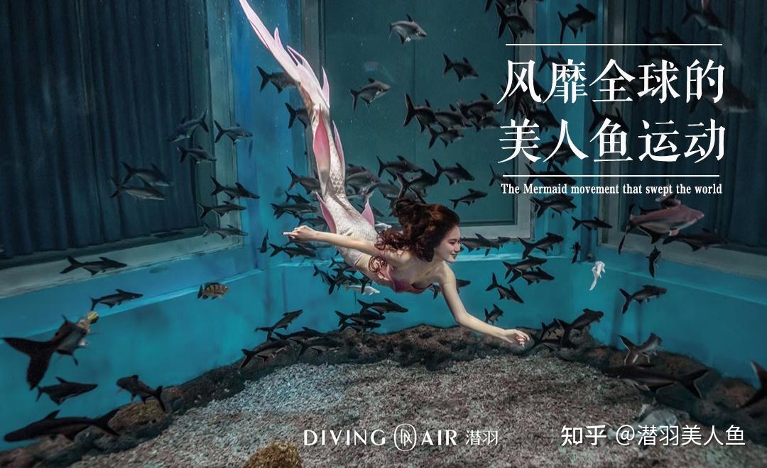潜羽资讯丨关于潜羽美人鱼竞技队成立公告