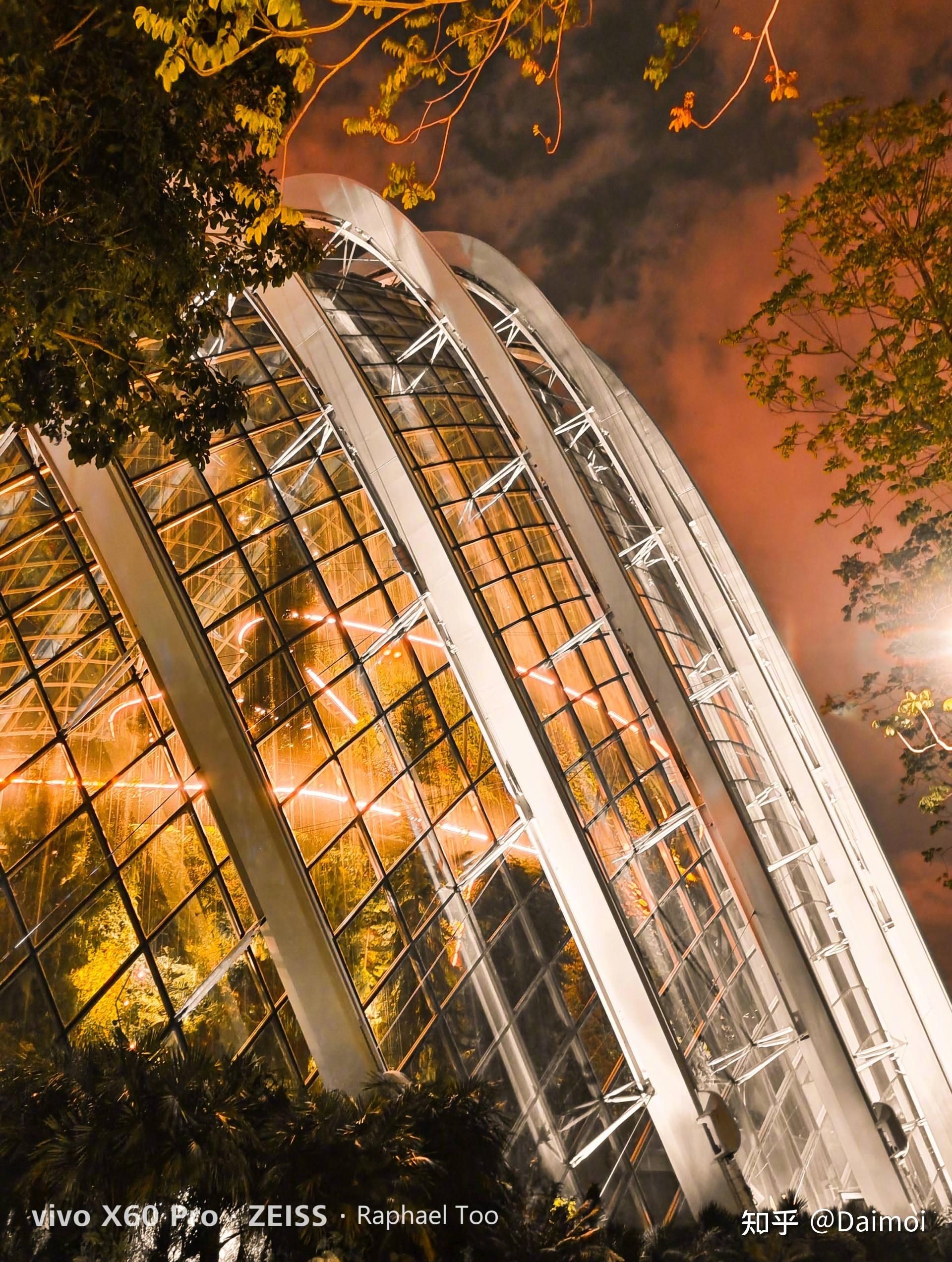 夜景大片随手就来vivox60系列夜拍实力过于强大