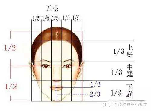 我这发际线算高吗