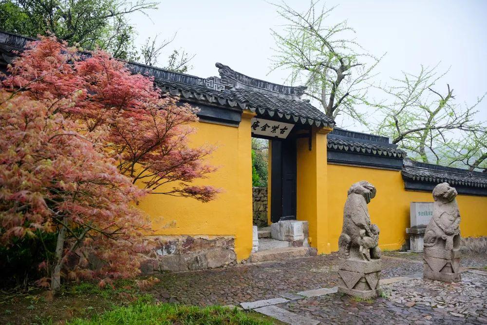 苏州的春季有多美，24条线路新鲜出炉，趁东风，乘诗兴，披春光…… - 知乎