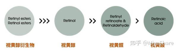 最近的A醇产品使用分享，护肤十多年，真正抗老还得是A醇 - 知乎