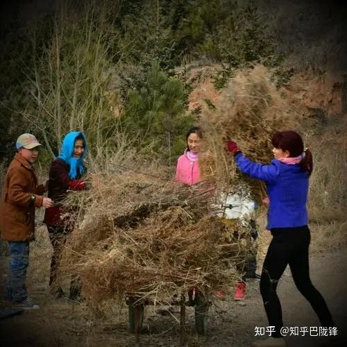 巴陇锋：燎疳 - 知乎