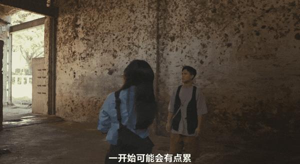 《动物园》豆瓣7.6,华语剧又出黑马!