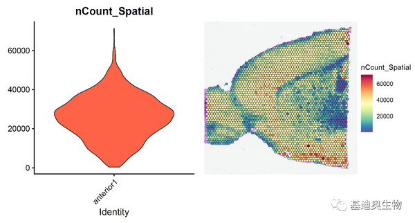 学一点空间转录组数据分析方法 - 知乎