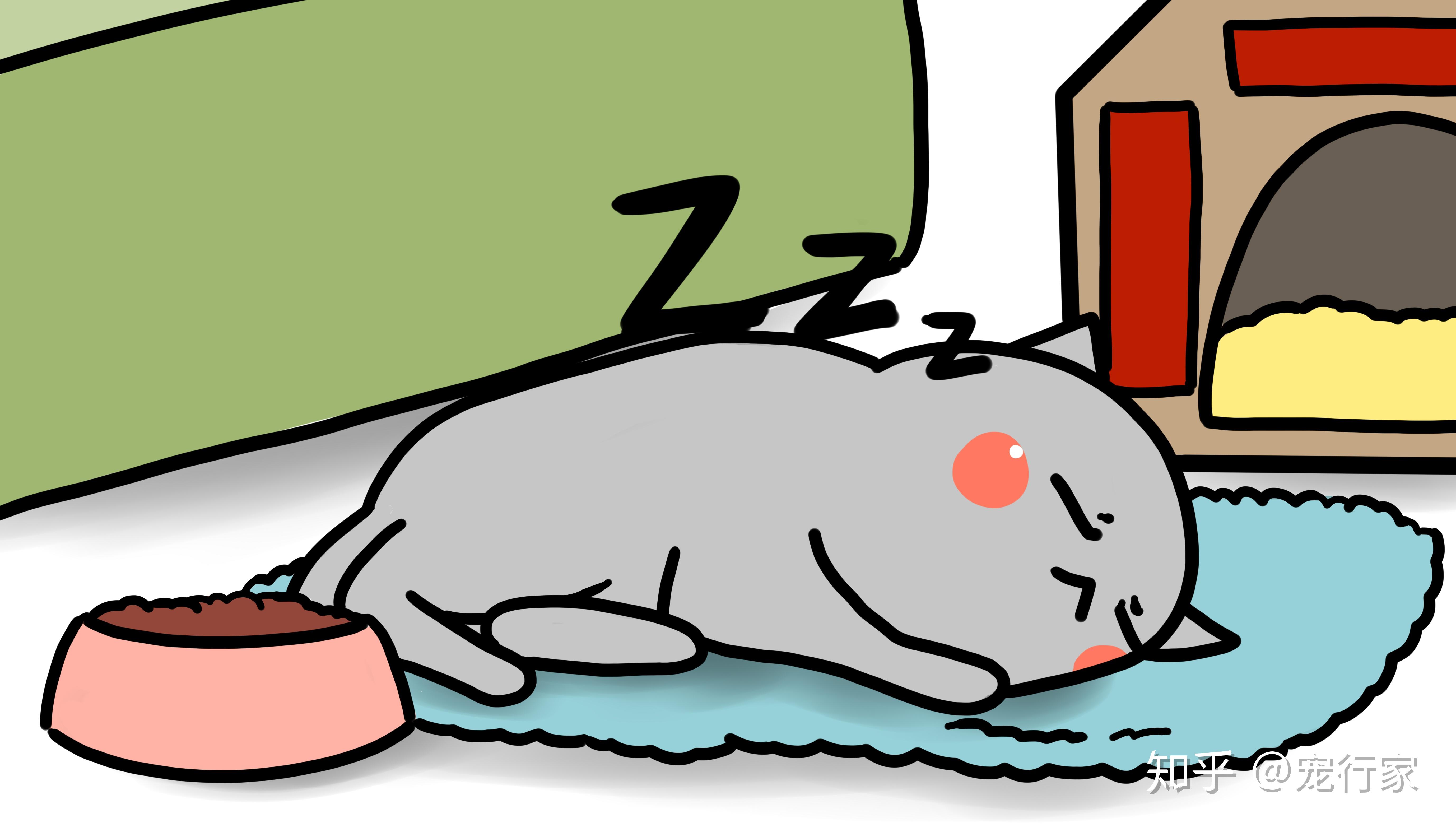 生病时猫的行为变化