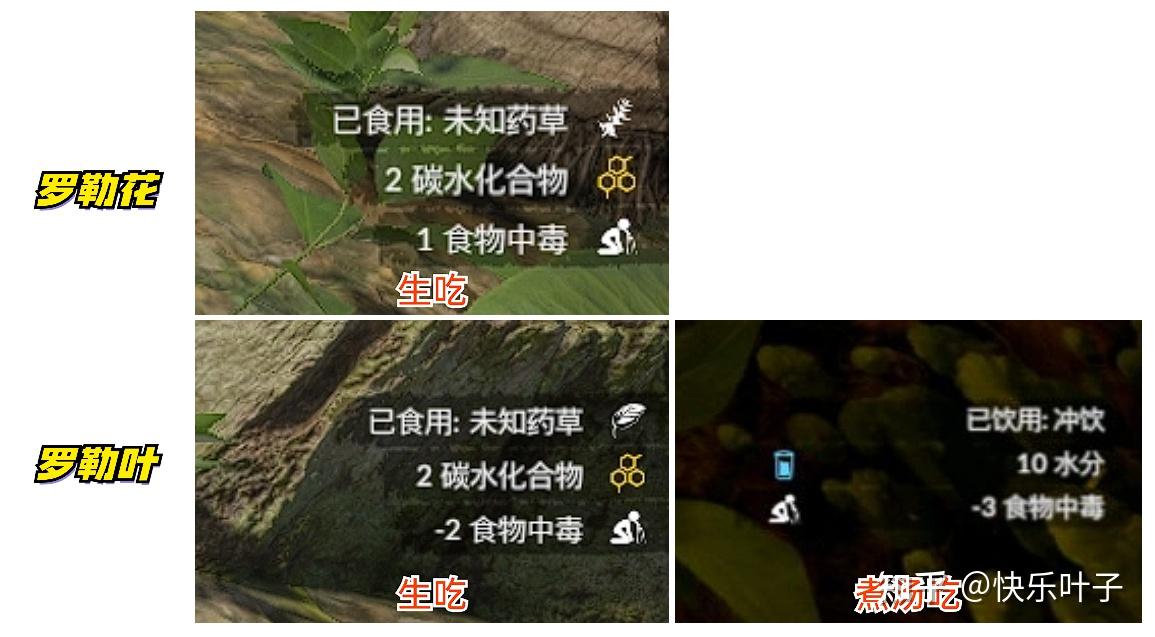 green hell《绿色地狱》主要植物及食用效果(新手向)