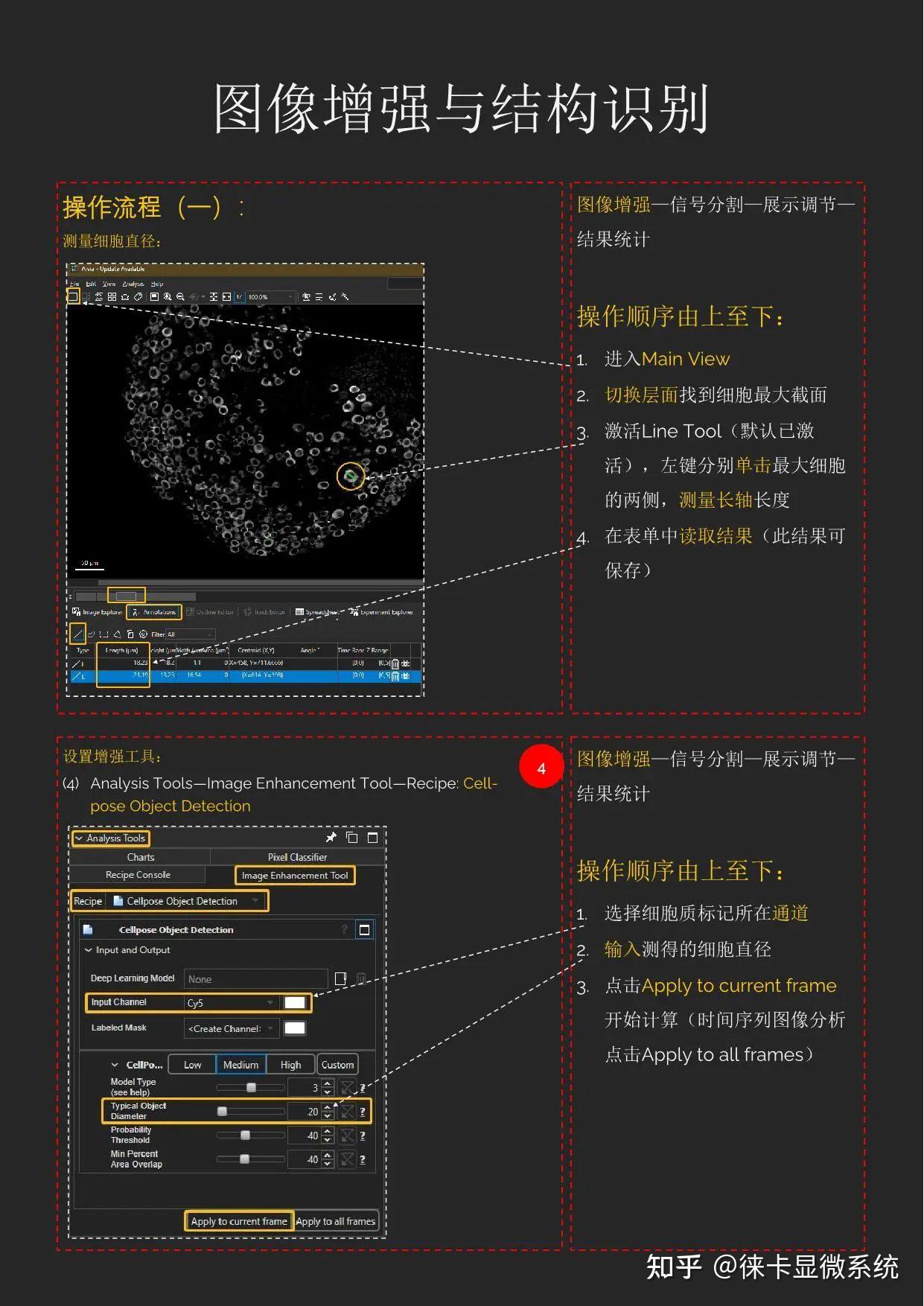 掌握Aivia！快速入门使用指南 - 知乎