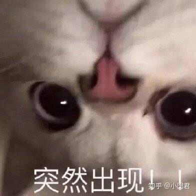 怎么才能变得话多 v2-0087499c80987887a0e0a02d5950d9c2_b.jpg