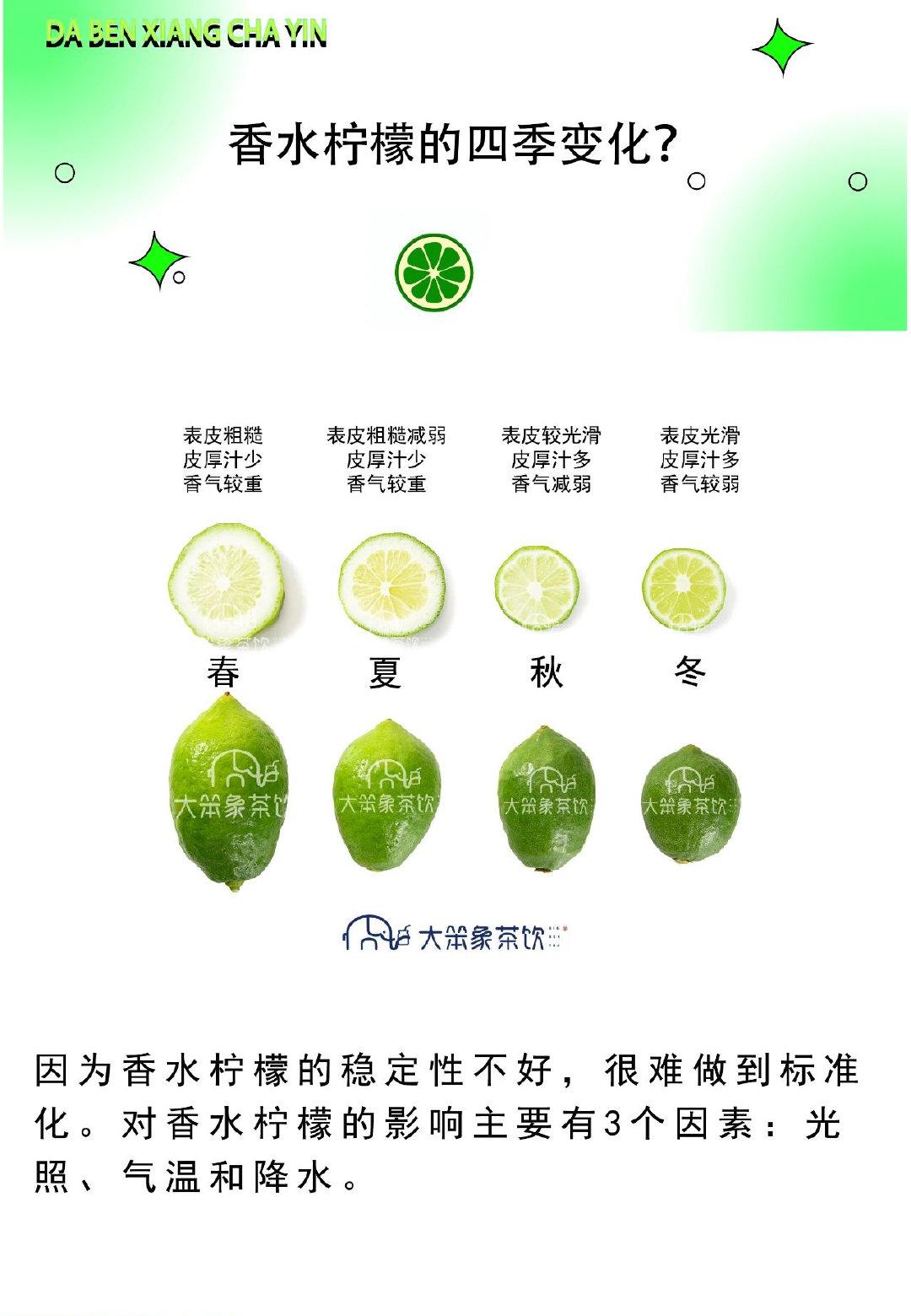 知识大全 | 关于广东香水柠檬,看这篇就够了! - 知乎