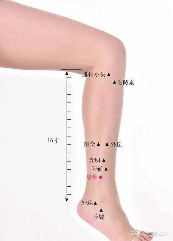 上病下治:18个上下对应而效用神奇的穴位 - 知乎