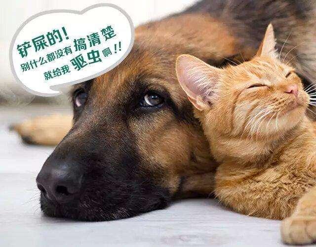 v2-009121aed179e4bb891b32daf29c7a50_1440w.jpg?source=172ae18b