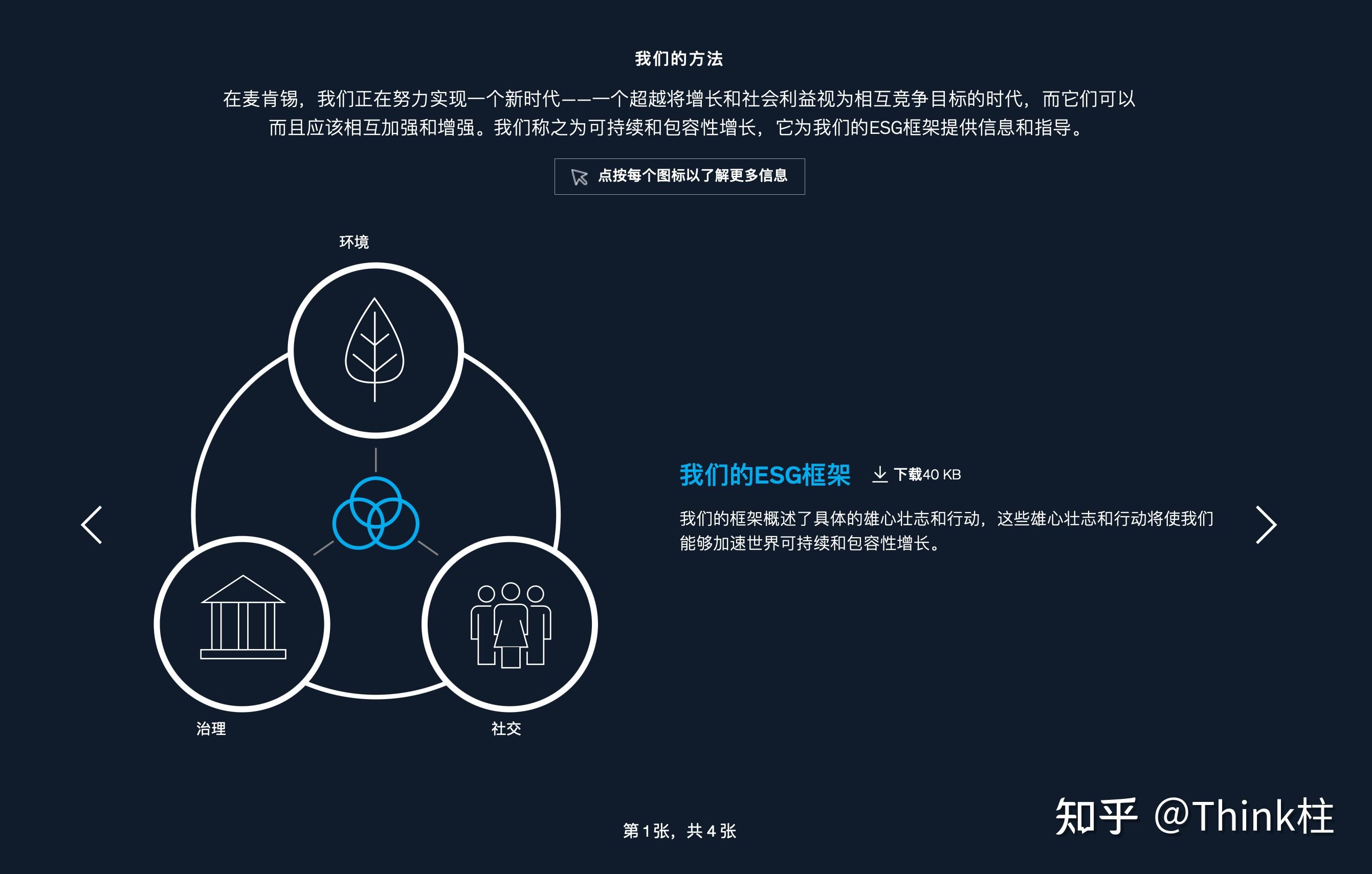 麦肯锡的可持续发展理念