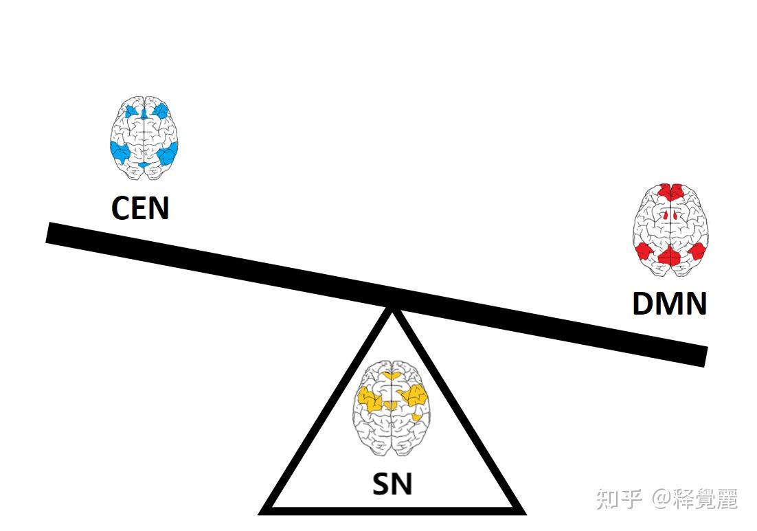 神经科学重新定义：意志•自我•意识 - 知乎