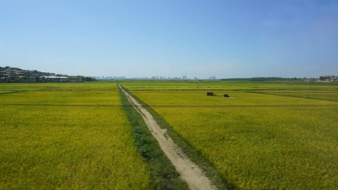 北朝鲜的四天三夜:穿越时间的地平线,告别异乡的“陌路人”