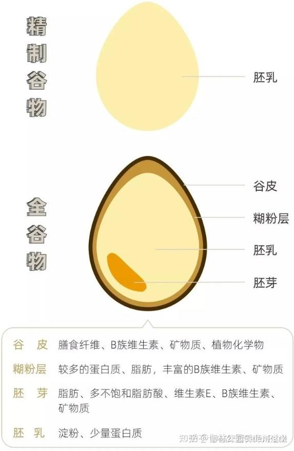 学记30减肥健身不完全指南36中国居民膳食指南与三大宏量营养素