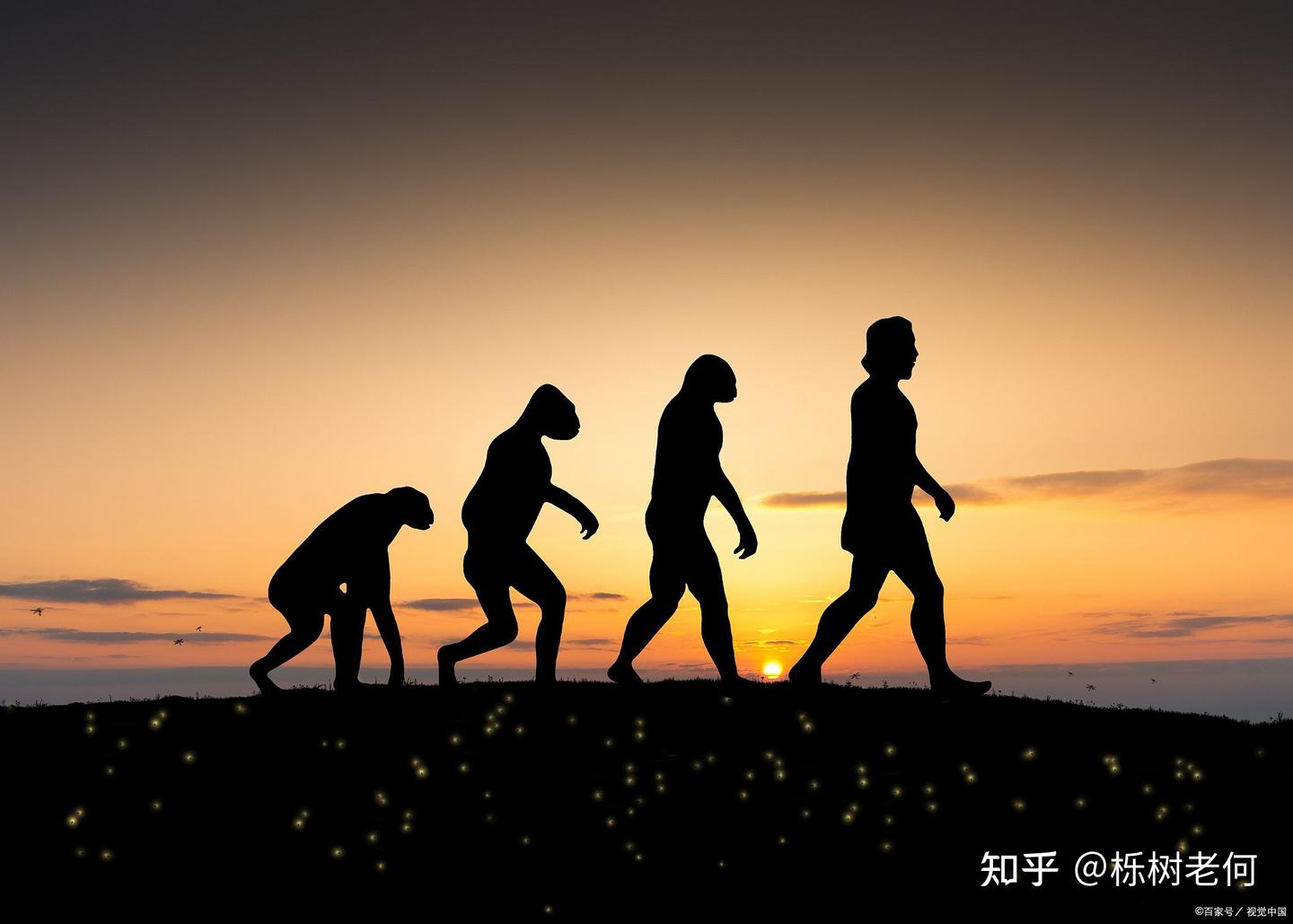 深化对生命奥秘的理解：超越简化的生物学观念，迎接生命科学新纪元 - 知乎