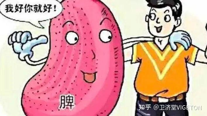 脾虚与体湿、寒体的症状对比,快来了解你的身体健康警示! - 知乎