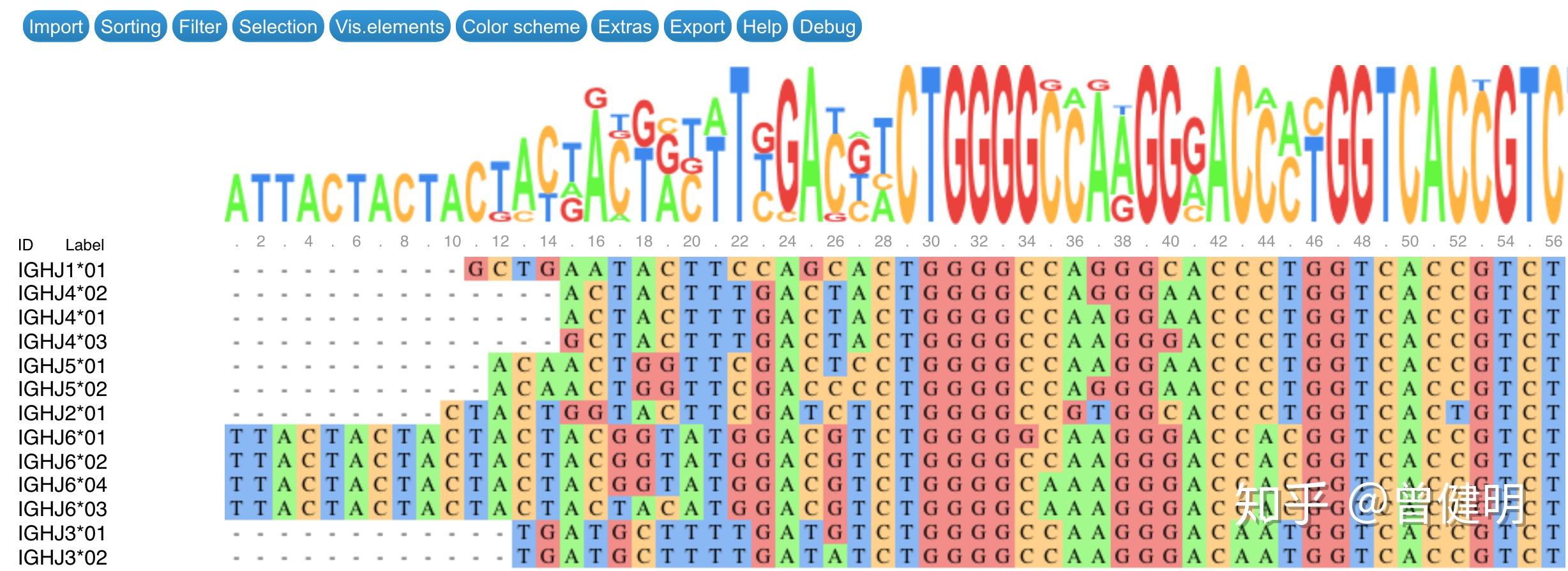 从imgt数据库下载免疫组库相关fasta序列