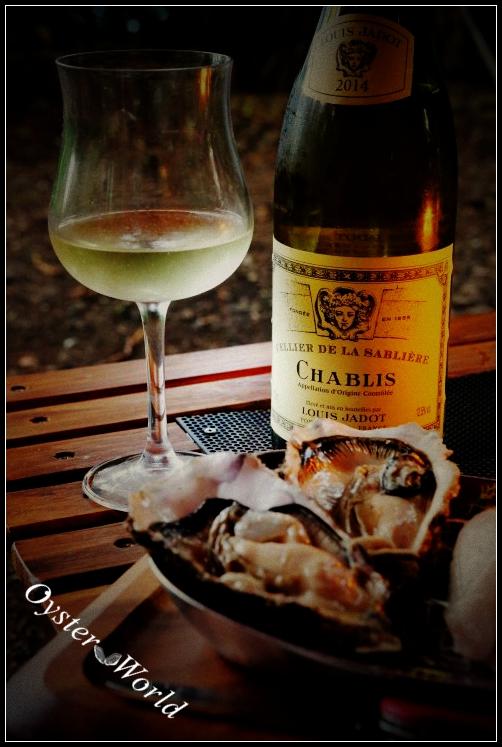 oyster · world chablis · oyster - 知乎