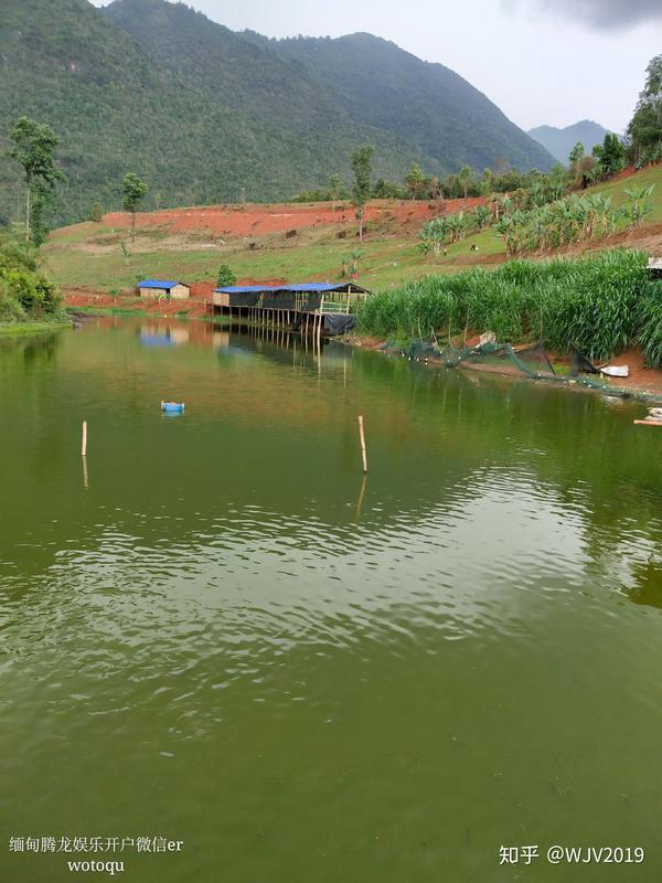 经典语录 大全 会籍 建议收藏 知乎