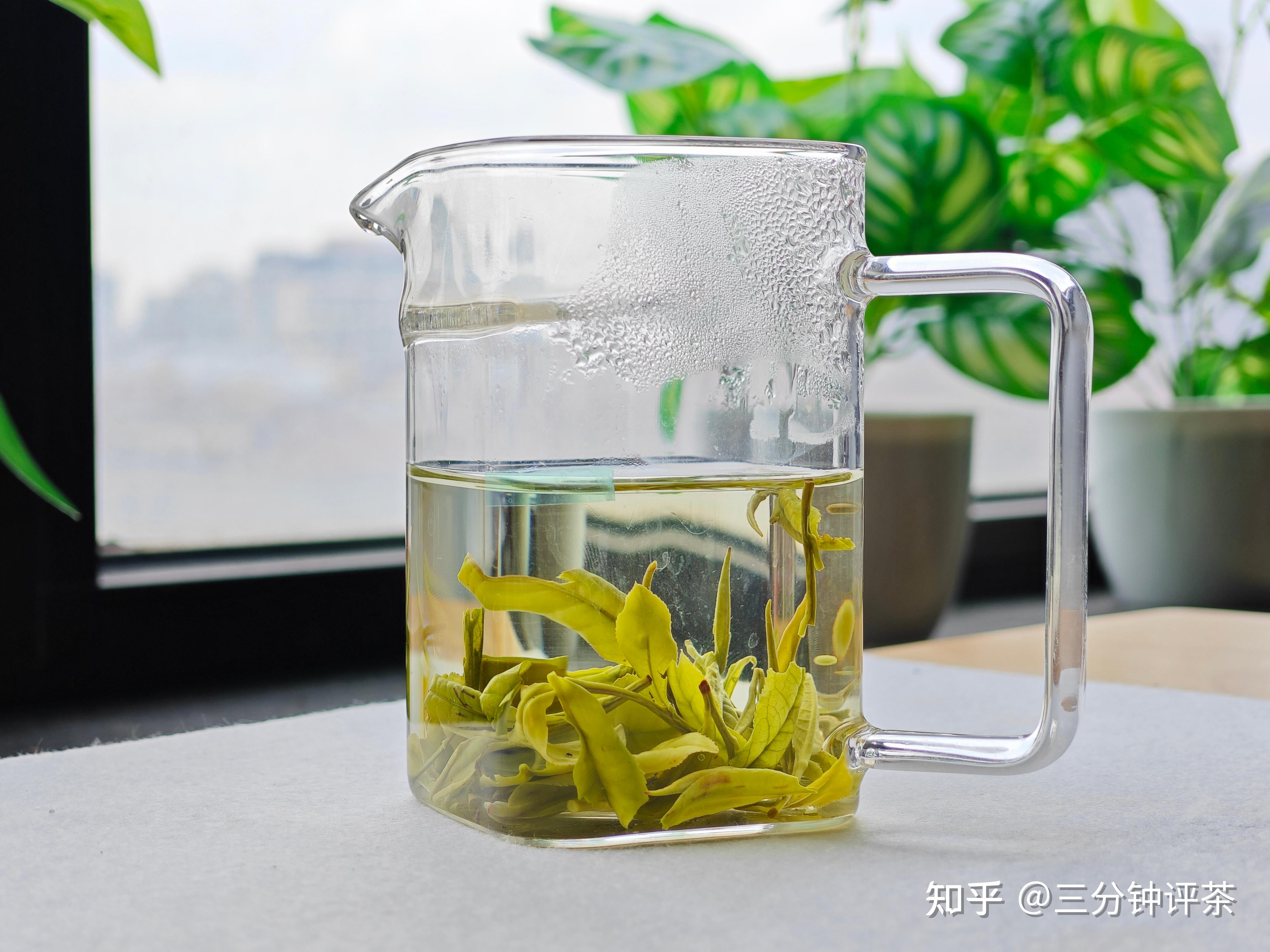 一杯香2024明前特级安吉白茶(茗风900妙空)品鉴| 一日一茶 no.200