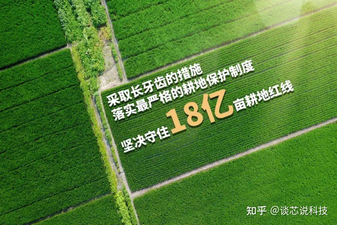 粮食安全到底谁来管?烂场雨让小麦丰收泡汤?温铁军教授一针见血 - 知乎