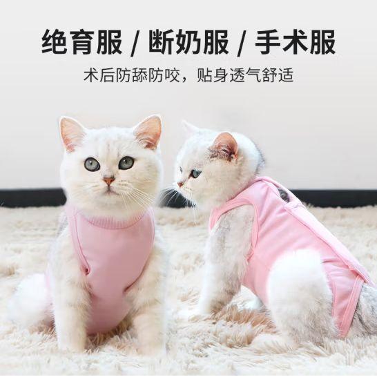 欢宠网 宠物猫咪绝育服