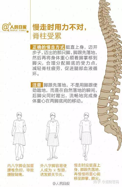 脊椎矫正实用指南
