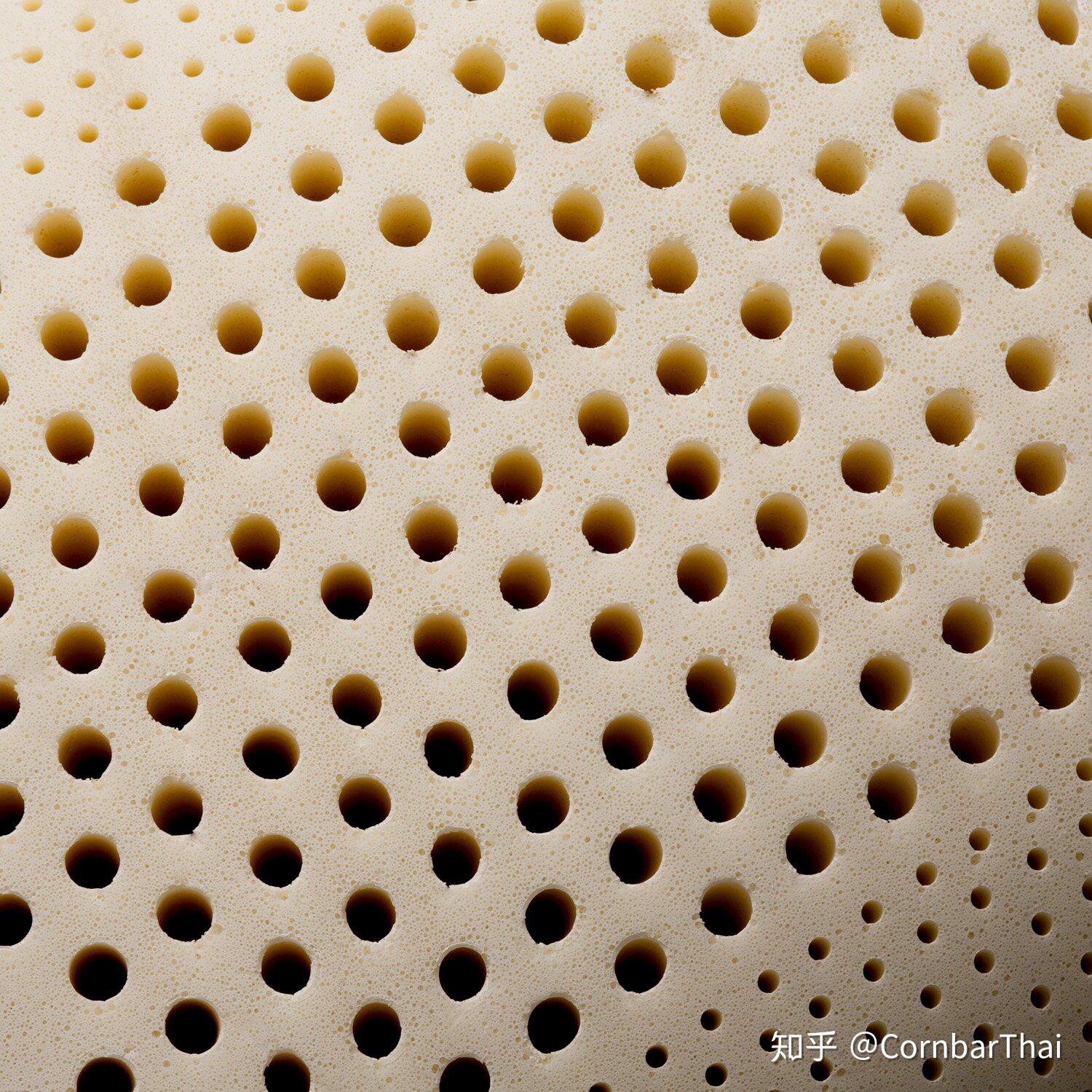 乳胶枕工艺邓禄普工艺和特拉雷工艺对比和选择